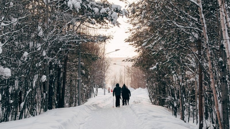 Где сургутяне смогут провести новогодние каникулы с пользой: расписание работы катков и лыжных баз