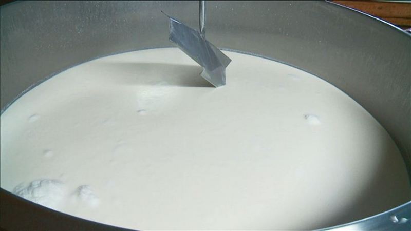 Борьба за качество. В Тюменской области стали больше производить молока высшего сорта