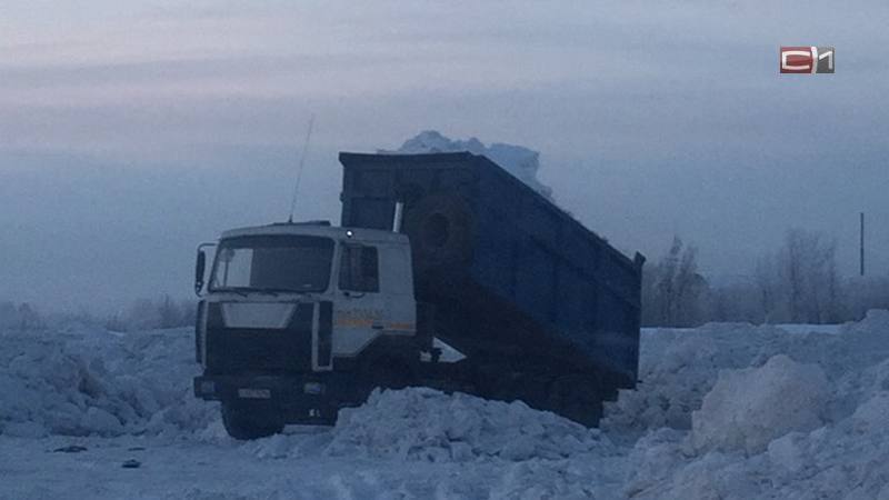 Конфликт из-за складирования снега на Заячьем: всех участников доставили в полицию Сургута