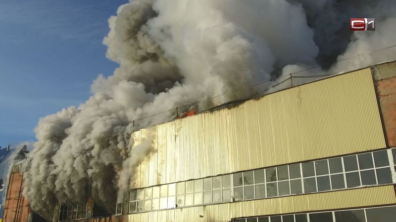 В МЧС назвали возможную причину крупного пожара за «Фараоном» в Сургуте