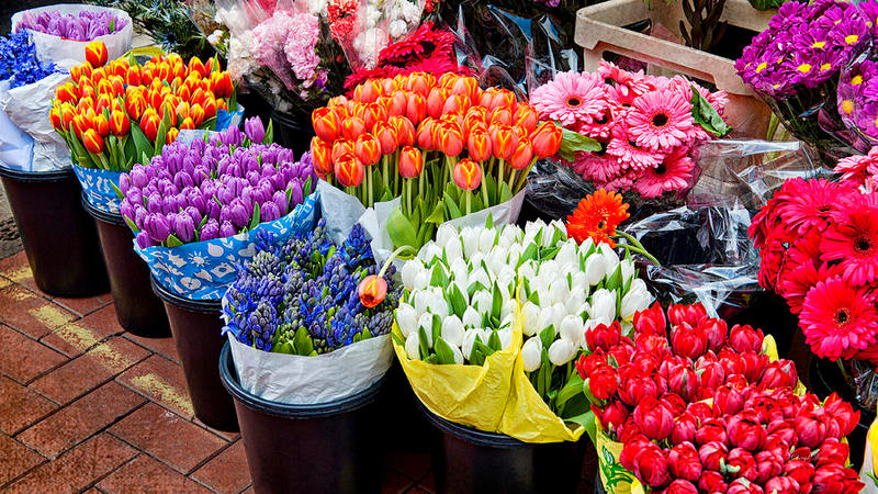 Депутат Госдумы предложила снизить цены на цветы 8 марта
