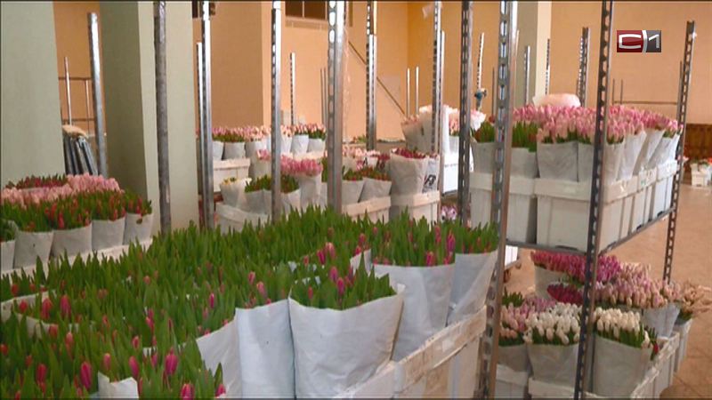 «Дарите женщинам цветы!»: тюменские флористы в полной готовности к 8 марта
