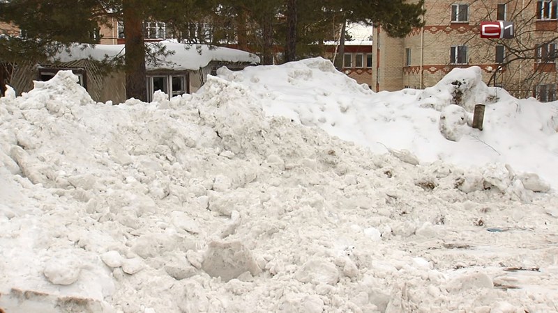 Администрация Сургутского района будет наказывать глав поселений за плохую уборку снега