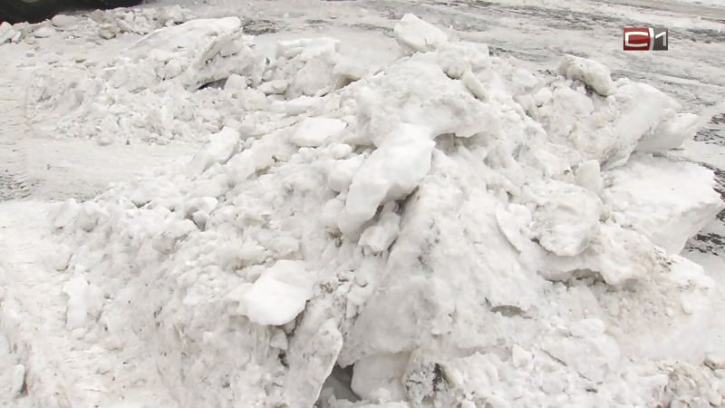 Погода подкинула проблем. В Сургутском районе на борьбу со снегом брошены все силы