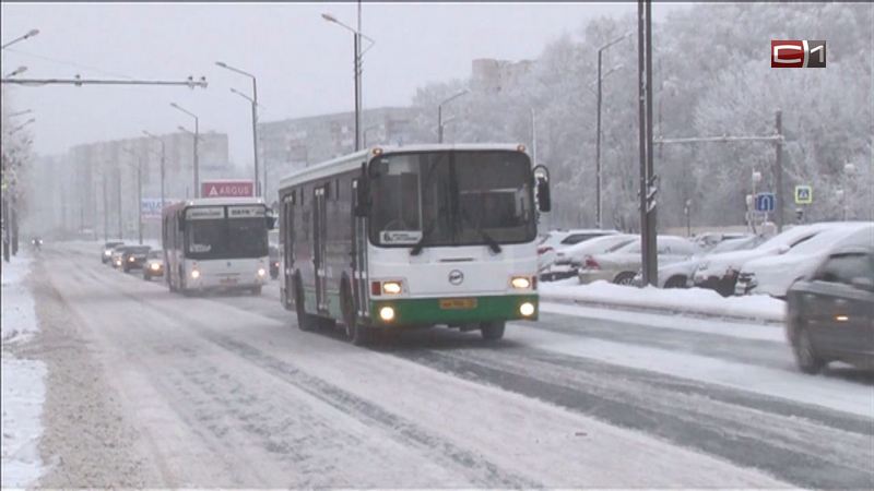 В Тюменской области закупят новые автобусы для учреждений соцобслуживания