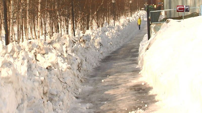 «Это не объяснение»: глава Сургутского района остался недоволен уборкой снега 