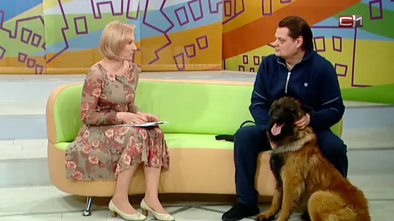 Сургутский кинолог: ваши отношения с собакой – это особый «диалог»