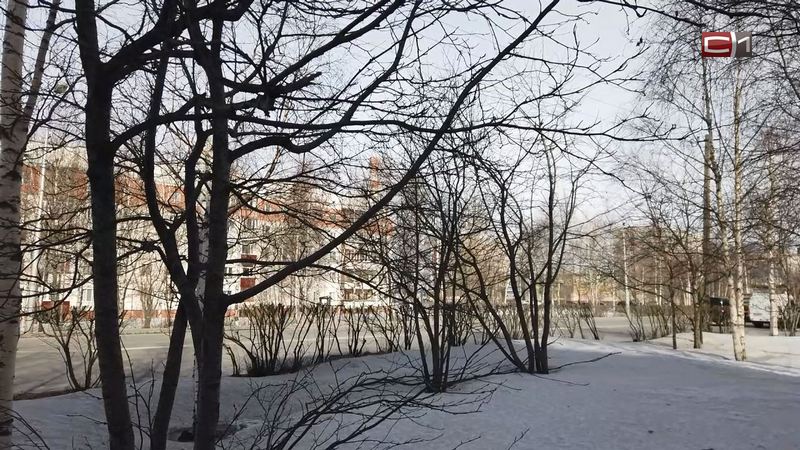 Синоптики Сургута: холода задержатся на 2 недели, но до рекордного минимума далеко