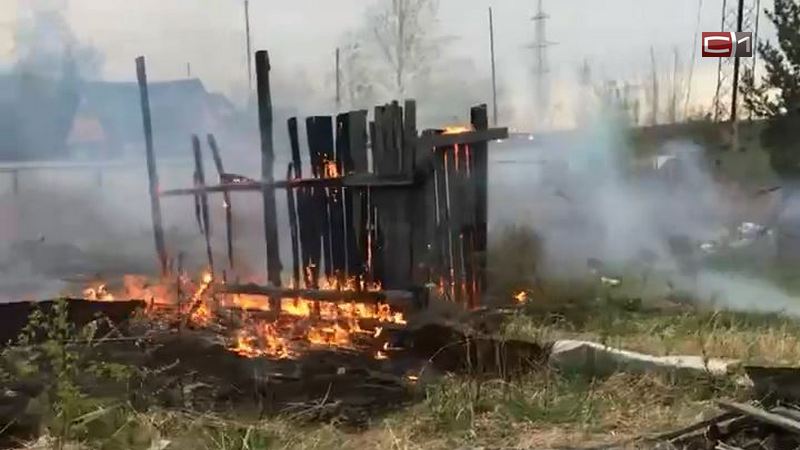 Горящий мусор чуть не стал причиной крупного пожара в дачном кооперативе Сургута