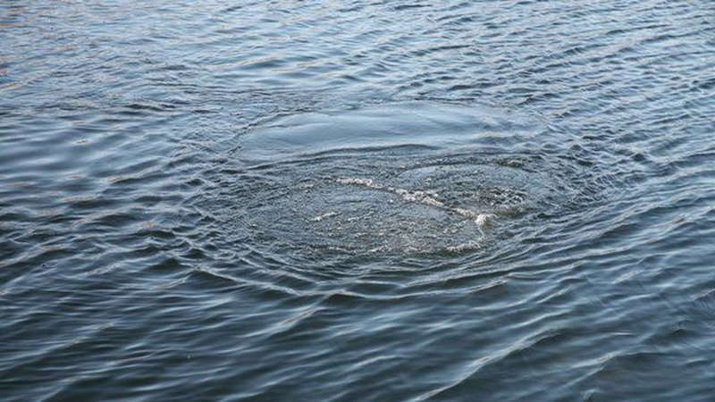 Опасная вода. В Югре спасатели ищут тело утонувшей на озере женщины