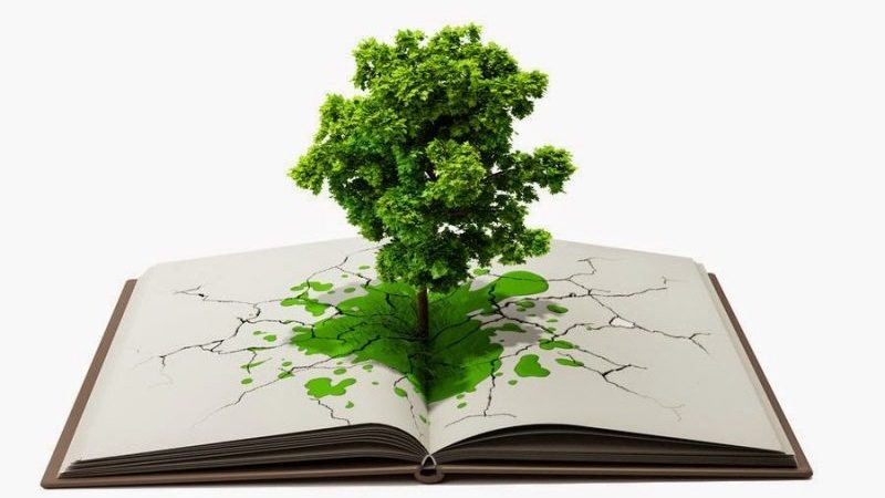 В Сургуте начинается второй этап экологической акции «Спаси дерево»