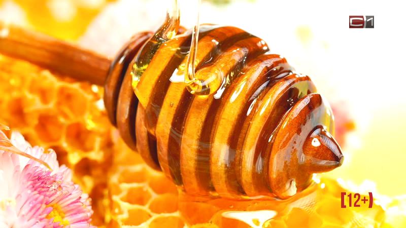 СКОРО: Укрепляет иммунитет, снижает холестерин — чем ещё полезен мёд