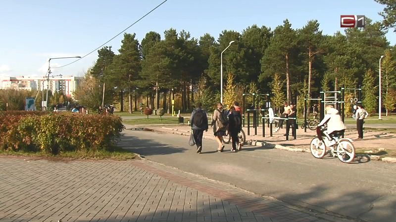 Ботанический сад и велодорожки появятся в сургутском парке в 2020 году