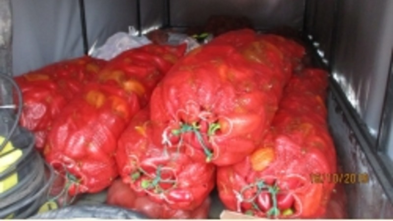 Более 3 тонн продуктов не допущено в Тюменскую область из Казахстана