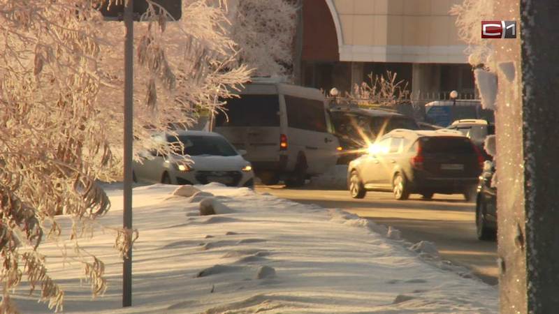 Школьная радость. Сегодня в Сургуте первый в этом учебном году актированный день