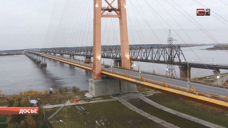 Создатели крымского моста выиграли конкурс на проект моста через Обь