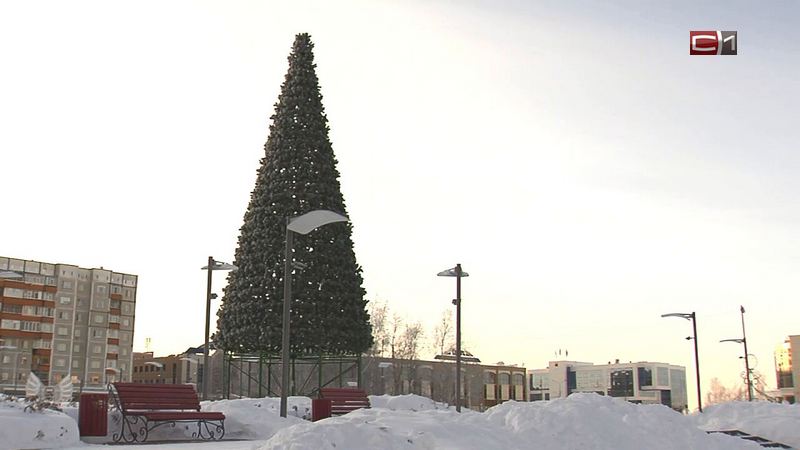 Настроение — Новый год! В Сургуте устанавливают главную городскую елку