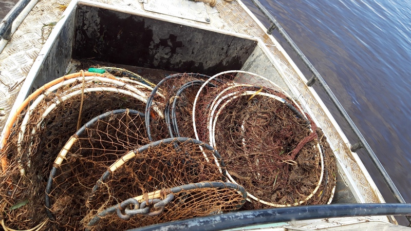 Более 700 килограммов рыбы изъято у браконьеров в Югре