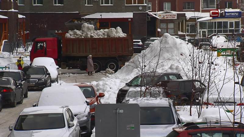 Жителям сургутских ЖК предстоит решить, как часто убирать снег во дворе 
