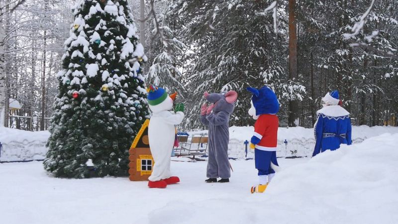 Резиденция Деда Мороза и езда на хаски — где могут отдохнуть сургутяне