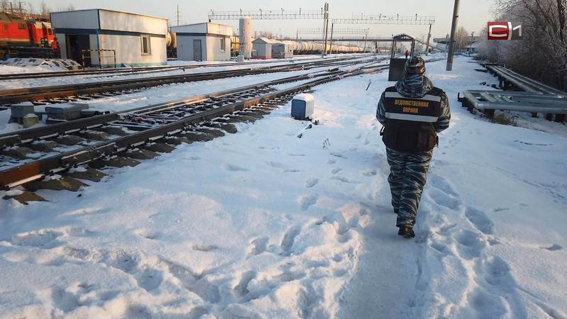 Техническое состояние 24 железнодорожных локомотивов не проверили в Сургуте