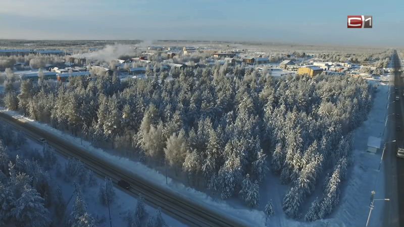 В Югре ожидают плюсовую температуру на улице и сильный ветер