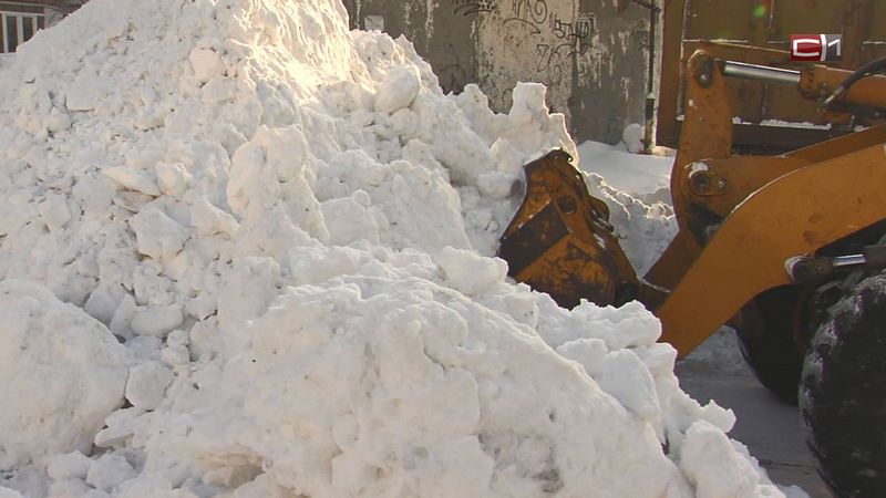 Власти Сургута начнут штрафовать бизнесменов за нечищенный снег