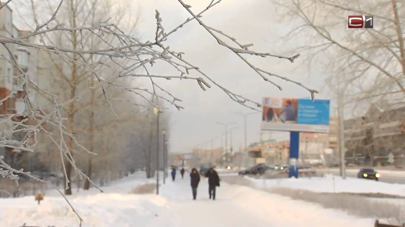 В Сургут возвращается зима. В праздничные дни ожидаются заморозки