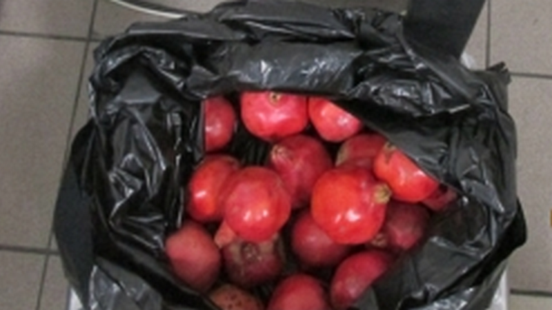 Более 90 килограммов фруктов и овощей сожгли в сургутском аэропорту