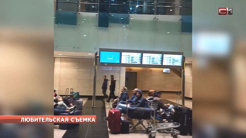 Сургутские туристы не могут вылететь домой из аэропорта Каира