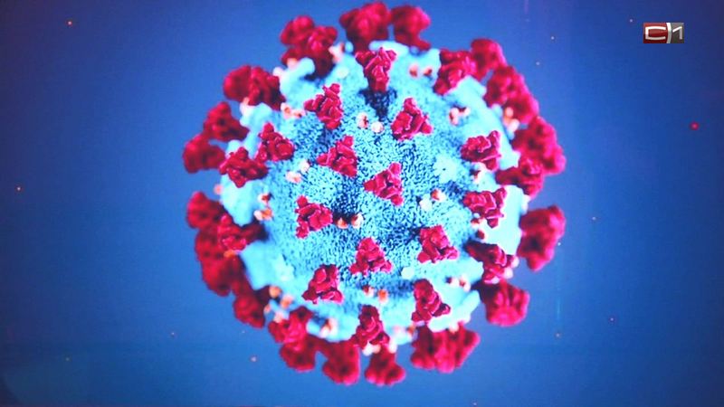 Роспотребнадзор: в России зарегистрировано 54 случая коронавируса за сутки