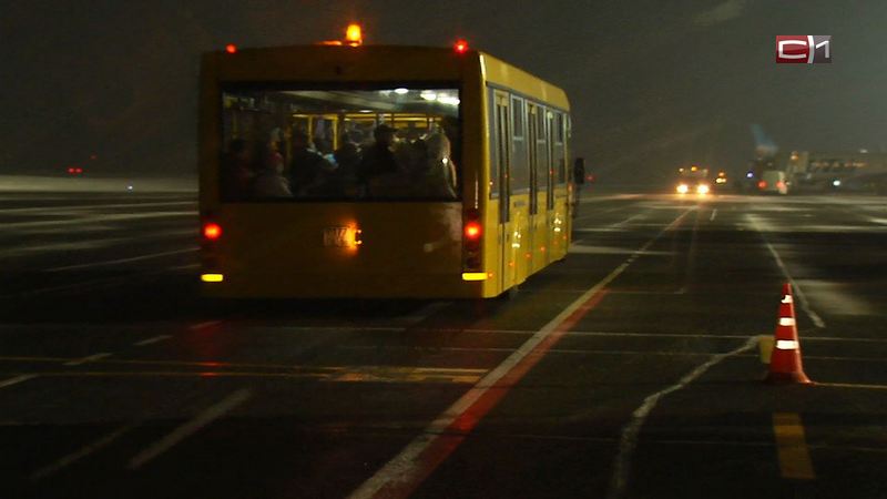 Прилетающих из-за рубежа сургутян будут увозить домой на автобусах