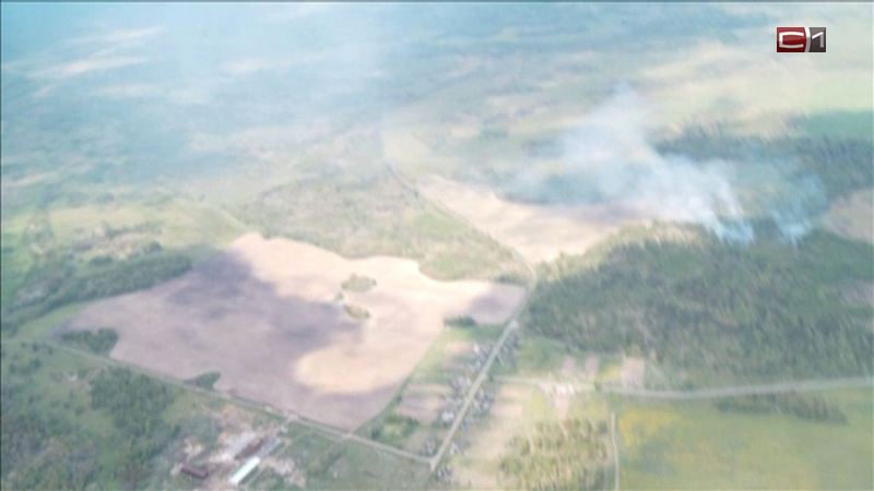 В Тюменской области  усилили контроль за лесными пожарами