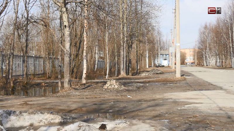 В поселке Солнечный уже в мае планируют начать масштабное благоустройство