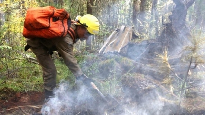 Лес горит. В Югре вспыхнул первый в этом году природный пожар