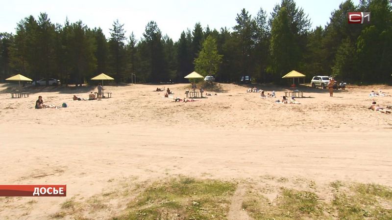 Уже этим летом в Сургуте может появиться пляж, где разрешат купаться