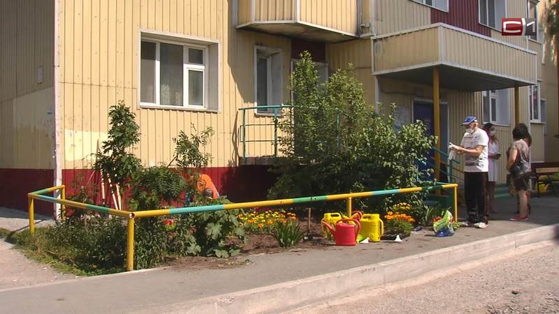 Устойчивые к северному климату цветы высадят возле сургутских домов