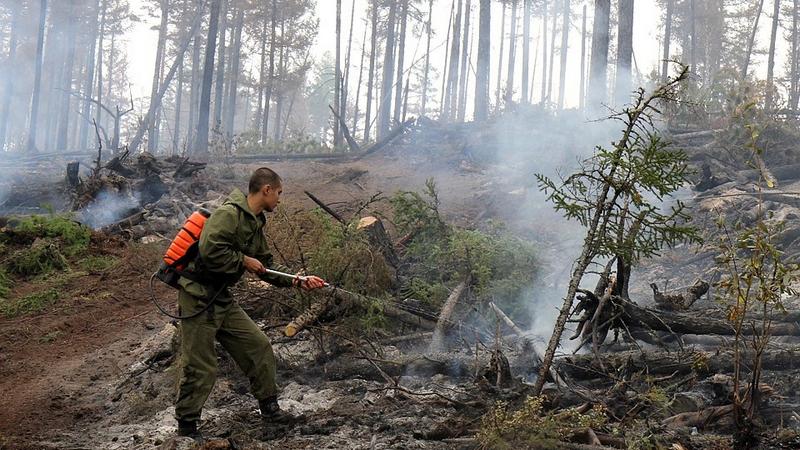 Горят леса Югры. В Сургуте объявлен повышенный класс пожарной опасности