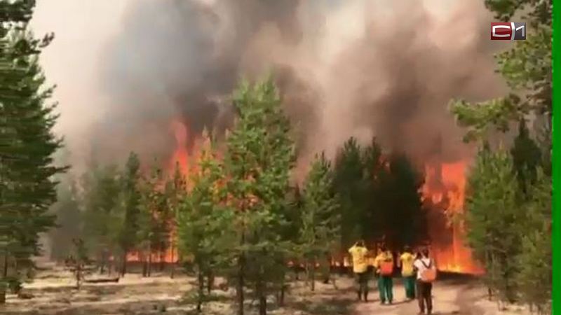 Советский район задыхается в дыму — бушуют лесные пожары