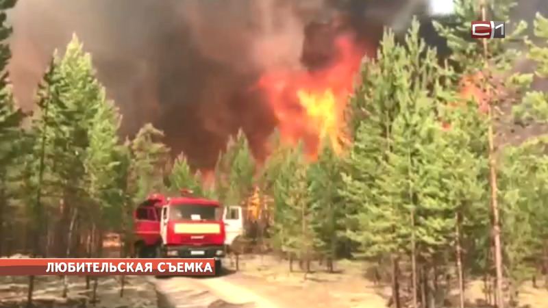 В Югре ввели режим ЧС в связи с лесными пожарами