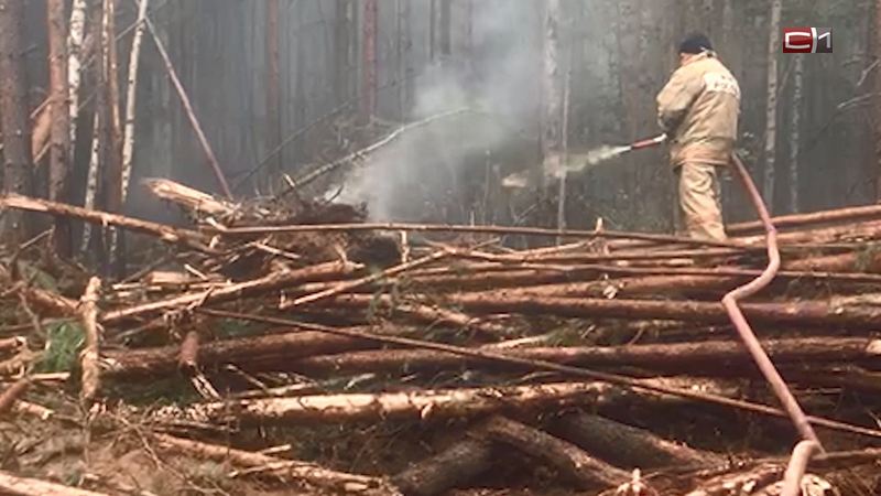 Из-за лесных пожаров в Югру летят министры природных ресурсов и ГО и ЧС