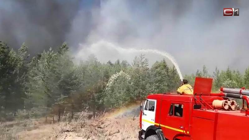 Более 650 человек заняты в тушении лесных пожаров в Югре