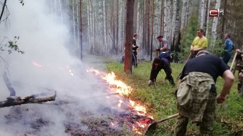 Взяли в руки лопаты. Жители Советского готовы вручную бороться с огнем