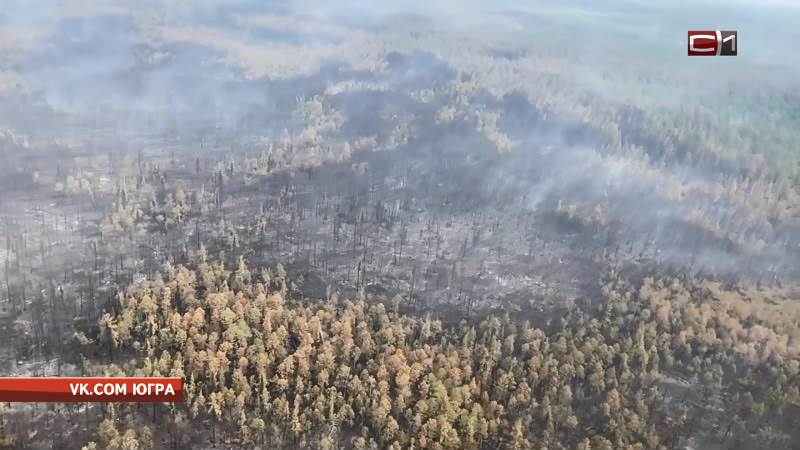 Площадь лесных пожаров в Югре увеличилась и превысила 12 тысяч гектаров
