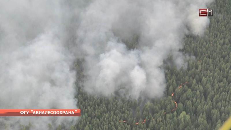 Представители Авиалесохраны обследовали очаги возгорания в Югре
