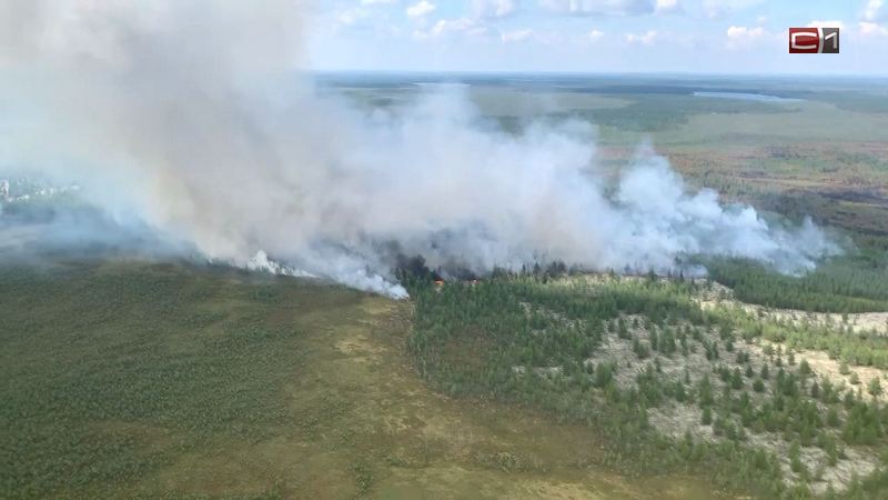 С начала сезона в Югре зарегистрировано более трехсот лесных пожаров 
