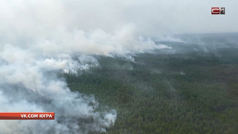 Лесные пожары продолжают бушевать на территории Югры