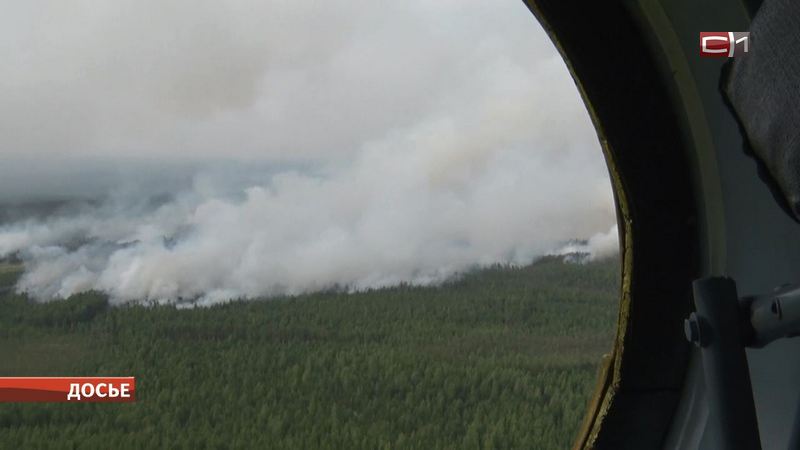 Югорские пожарные сократили площадь лесных возгораний в 100 раз