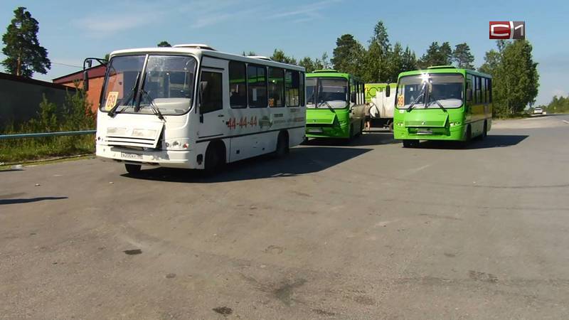 В Сургуте поймали водителя автобуса без прав