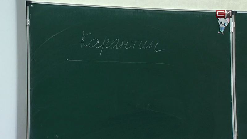 Губернатор округа Наталья Комарова о закрытии школ Югры на карантин